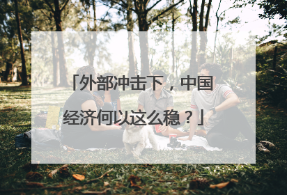 外部冲击下，中国经济何以这么稳？