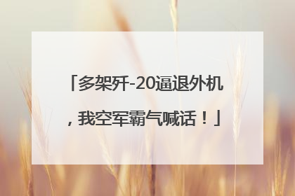 多架歼-20逼退外机，我空军霸气喊话！
