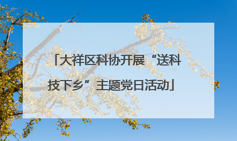 大祥区科协开展“送科技下乡”主题党日活动