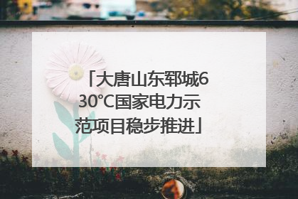 大唐山东郓城630℃国家电力示范项目稳步推进