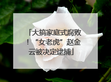 大搞家庭式腐败！“女老虎”赵金云被决定逮捕