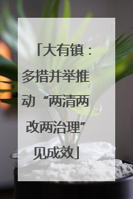 大有镇：多措并举推动“两清两改两治理”见成效