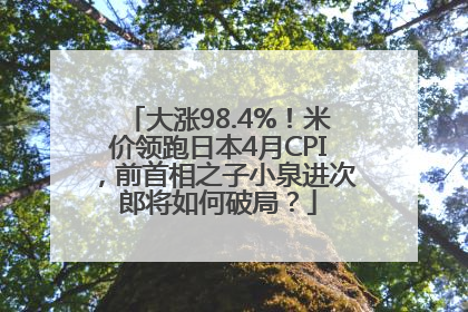 大涨98.4%！米价领跑日本4月CPI，前首相之子小泉进次郎将如何破局？