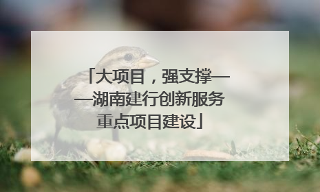 大项目，强支撑——湖南建行创新服务重点项目建设