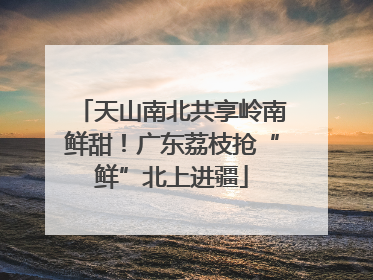 天山南北共享岭南鲜甜！广东荔枝抢“鲜”北上进疆