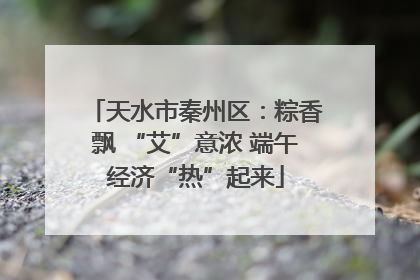天水市秦州区：粽香飘 “艾”意浓 端午经济“热”起来