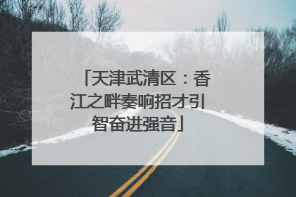 天津武清区：香江之畔奏响招才引智奋进强音