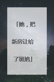 她，把新房让给了斑鸠