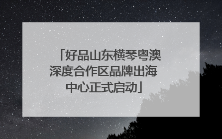 好品山东横琴粤澳深度合作区品牌出海中心正式启动