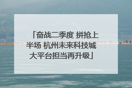 奋战二季度 拼抢上半场 杭州未来科技城大平台担当再升级