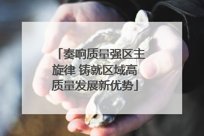 奏响质量强区主旋律 铸就区域高质量发展新优势