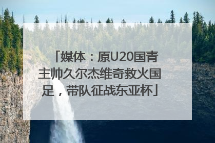 媒体：原U20国青主帅久尔杰维奇救火国足，带队征战东亚杯