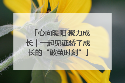 心向暖阳·聚力成长｜一起见证骄子成长的“破茧时刻”