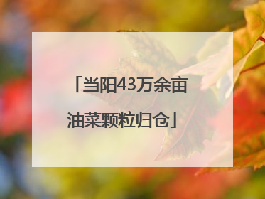 当阳43万余亩油菜颗粒归仓