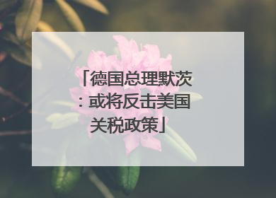 德国总理默茨：或将反击美国关税政策