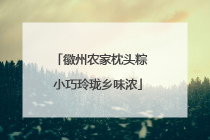 徽州农家枕头粽 小巧玲珑乡味浓