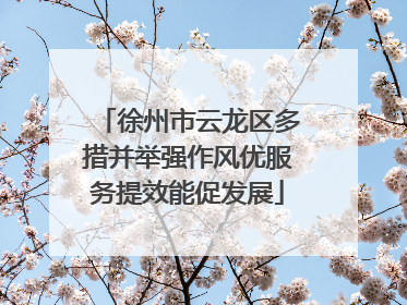 徐州市云龙区多措并举强作风优服务提效能促发展