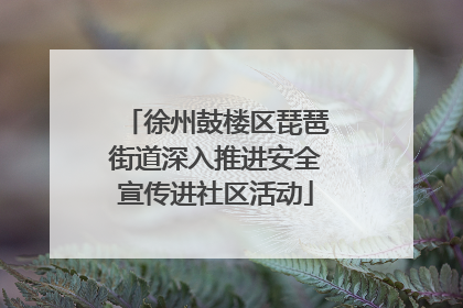 徐州鼓楼区琵琶街道深入推进安全宣传进社区活动