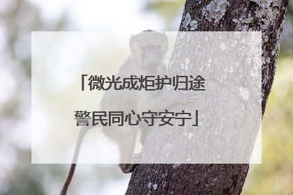微光成炬护归途 警民同心守安宁