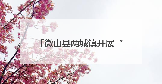微山县两城镇开展“九小场所”专项治理