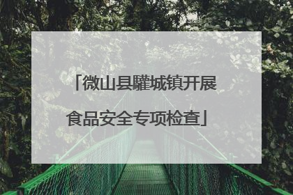 微山县驩城镇开展食品安全专项检查