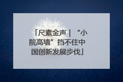 尺素金声｜“小院高墙”挡不住中国创新发展步伐