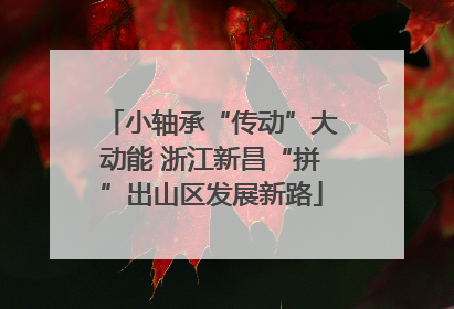 小轴承“传动”大动能 浙江新昌“拼”出山区发展新路