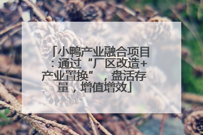 小鸭产业融合项目：通过“厂区改造+产业置换”，盘活存量，增值增效