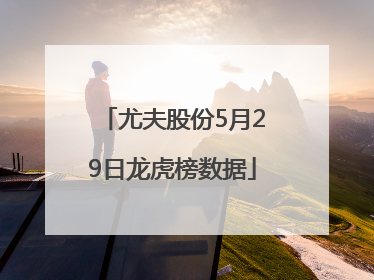 尤夫股份5月29日龙虎榜数据