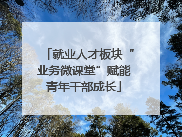 就业人才板块“业务微课堂”赋能青年干部成长