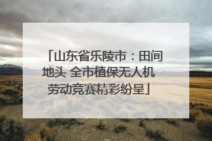 山东省乐陵市：田间地头 全市植保无人机劳动竞赛精彩纷呈