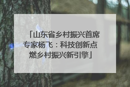 山东省乡村振兴首席专家杨飞：科技创新点燃乡村振兴新引擎