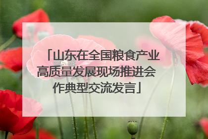 山东在全国粮食产业高质量发展现场推进会作典型交流发言