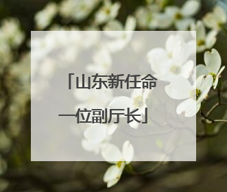 山东新任命一位副厅长