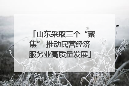 山东采取三个“聚焦” 推动民营经济服务业高质量发展