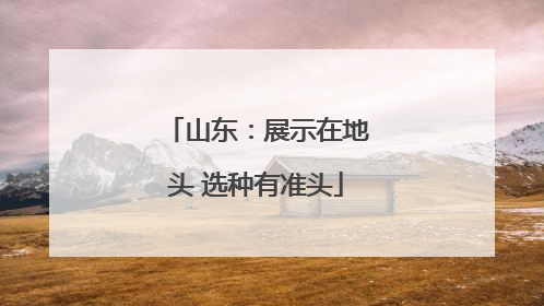 山东：展示在地头 选种有准头