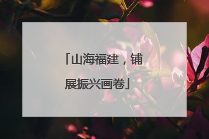 山海福建，铺展振兴画卷