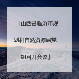 山西省临汾市规划和自然资源局党组召开会议