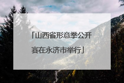 山西省形意拳公开赛在永济市举行