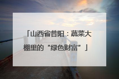 山西省昔阳：蔬菜大棚里的“绿色财富”