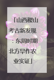 山西稷山考古新发现：东周时期北方旱作农业实证