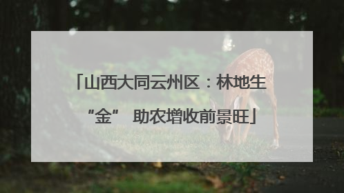 山西大同云州区：林地生“金” 助农增收前景旺
