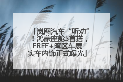 岚图汽车“听劝”！鸿蒙座舱5首搭，FREE+湾区车展实车内饰正式曝光