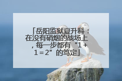 岳阳监狱夏升科：在没有硝烟的战场上，每一步都有“1＋1＝2”的笃定
