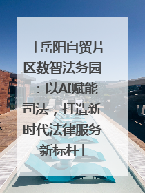 岳阳自贸片区数智法务园：以AI赋能司法，打造新时代法律服务新标杆