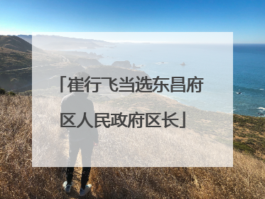 崔行飞当选东昌府区人民政府区长