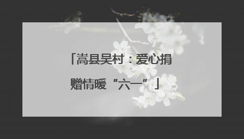 嵩县吴村：爱心捐赠情暖“六一”