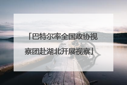 巴特尔率全国政协视察团赴湖北开展视察