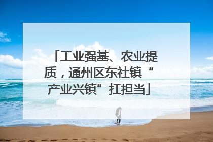 工业强基、农业提质，通州区东社镇“产业兴镇”扛担当