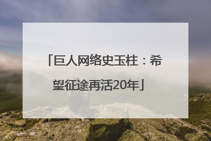 巨人网络史玉柱：希望征途再活20年